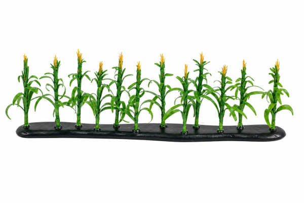 Wizard of Oz Corn Stalk Field Rows Wizard of Oz Corn Stalk Field Rows