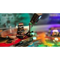 Harry Potter Pinball Stack of Books Mod – Hand Painted Decorative